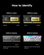 ORICO Raceline Neon DDR5 RGB RAM R500