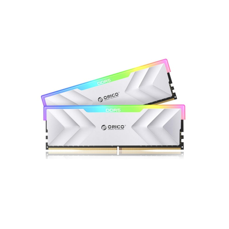 ORICO Raceline Neon DDR5 RGB RAM R500